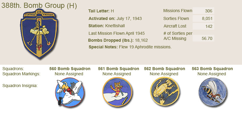 388th Bomb Group and Unit Insignias