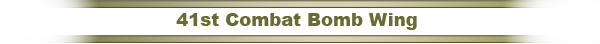41st Combat Bomb Wing Units